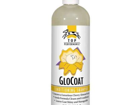 Top Performance Glo Coat Conditioning Shampoo 16oz Sale