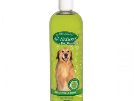 Top Performance Green Tea & Mint Shampoo 17oz For Cheap