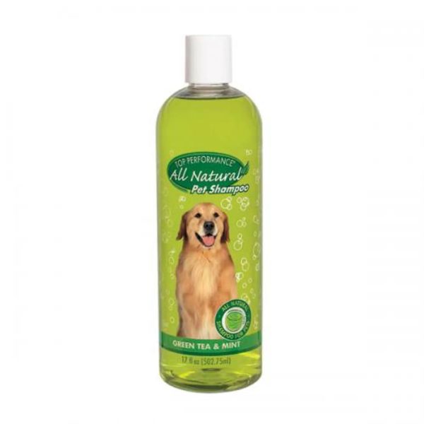 Top Performance Green Tea & Mint Shampoo 17oz For Cheap