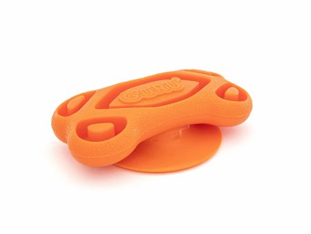 GURU Pet Company Distracto-Pod Bone Dog Chew Toy Medium Fashion