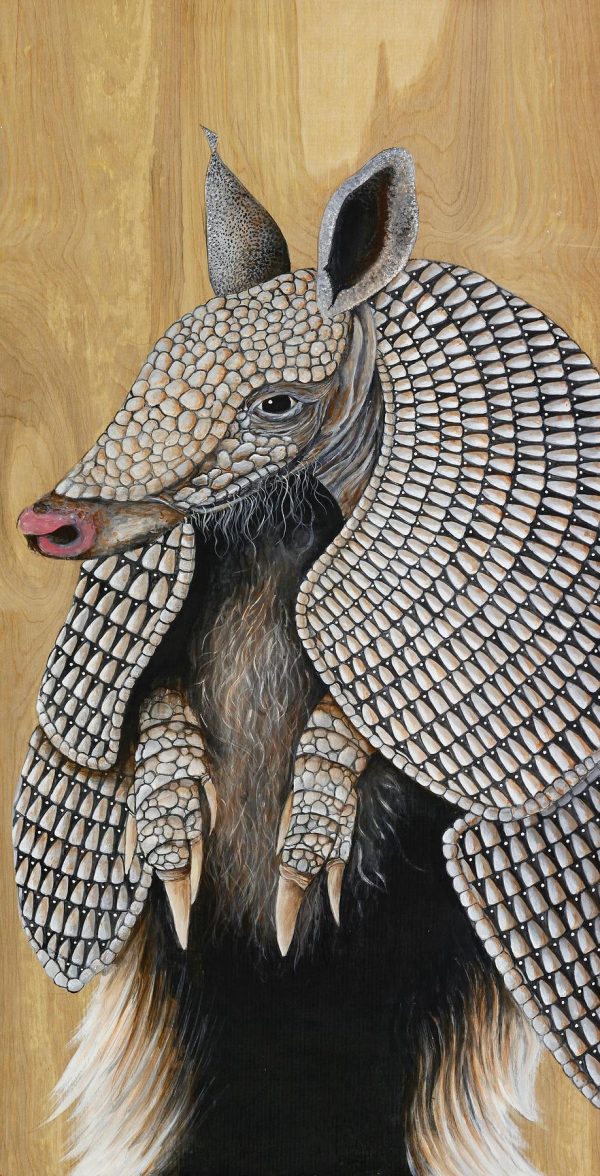 Armadillo Online now