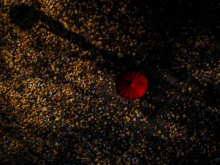 Autumn Red Umbrella Shadow Projection Fashion