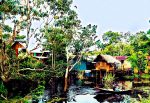 Amazon Village For Sale