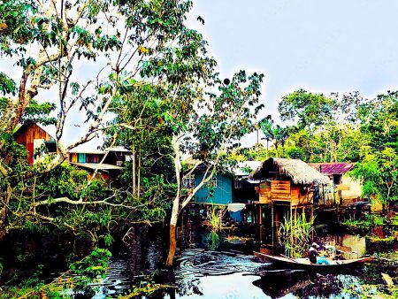 Amazon Village For Sale