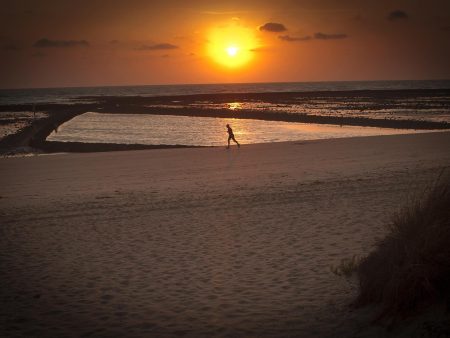 Beach Runner For Sale