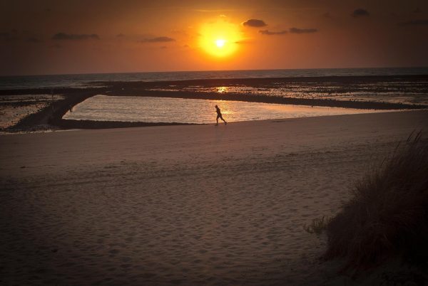 Beach Runner For Sale