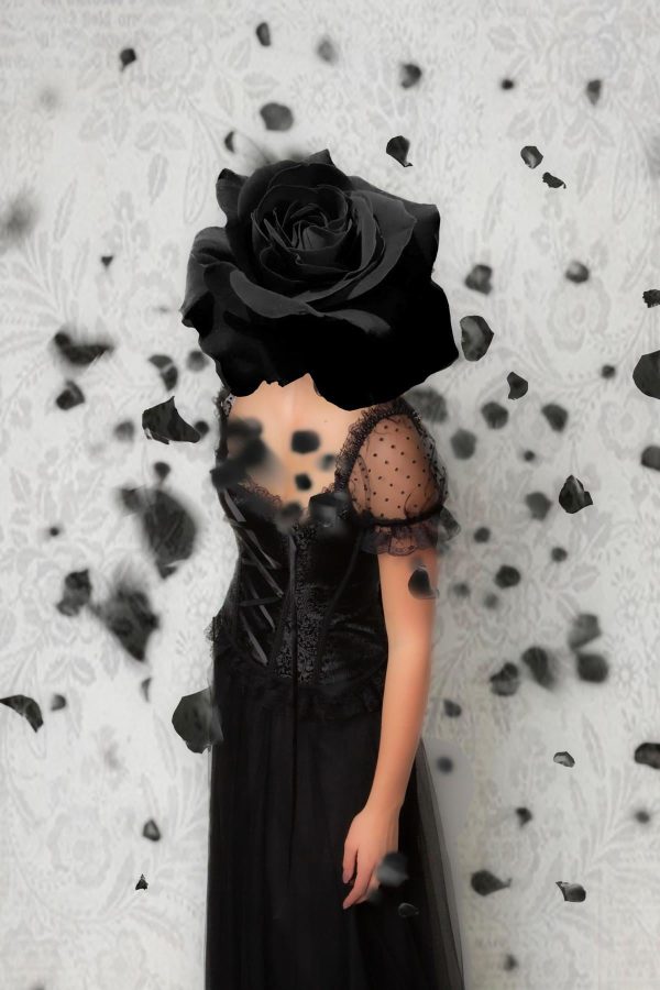 Black Rose on Sale