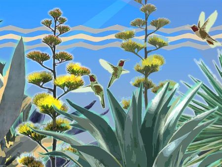 Agave Reach Cheap