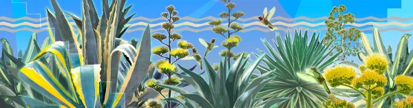 Agave Reach Cheap