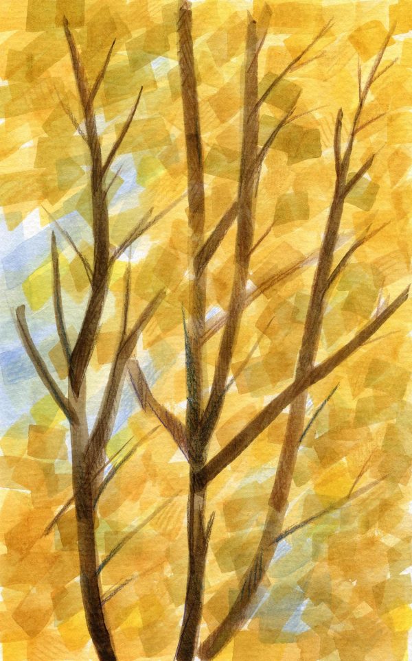 Autumn Tree Online now